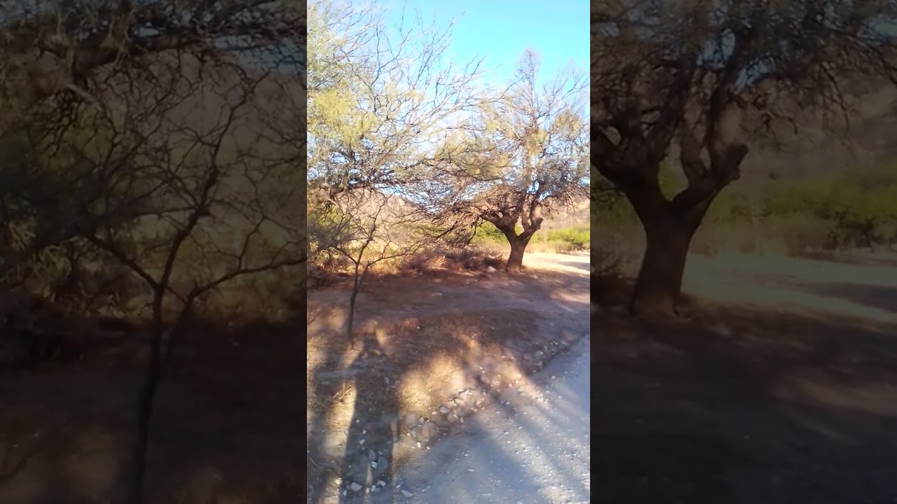 San Marcos Sierra, Córdoba Oct 2022