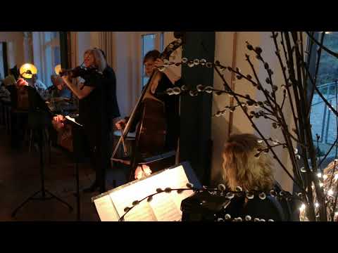 MUZET ROYAL mit CAIO RODRIGUEZ - QUIERO VERTE UNA VEZ MAS (M.Canaro/Contursi)