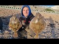 First plaice of the year what a cracking start fishing the plaice capital of the uk brighton beach