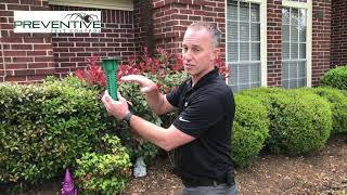 Termite Protection With Preventive Pest Control