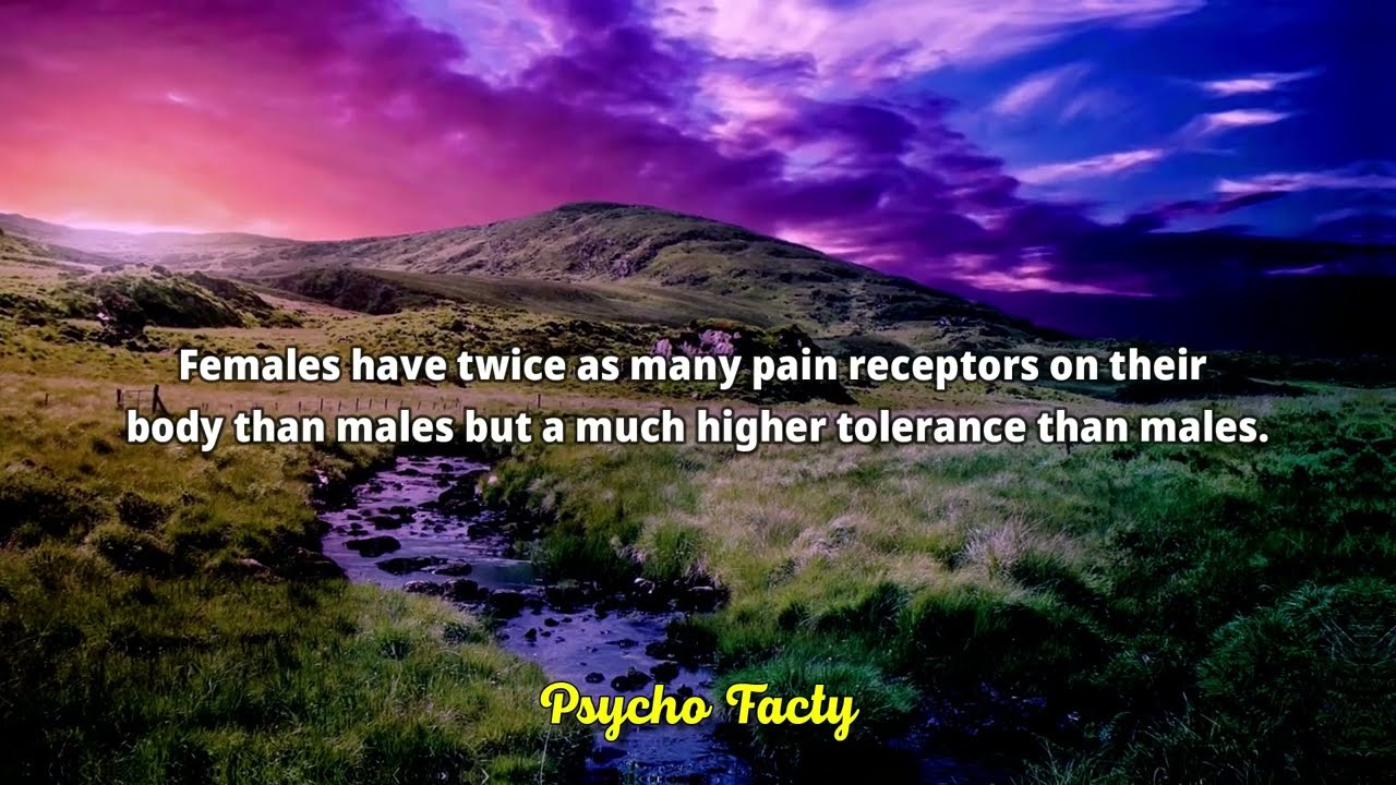 Discover the Jaw-Dropping Truth about Human Behavior - YouTube