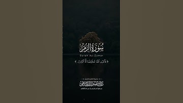 مقتطف من سورة الزمر ﴿فاعبد الله مخلصا له الدين﴾ | الشيخ ناصر القطامي | تلاوة من نوادر عام 1423هـ