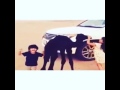اتحرى شوفتك ليل ونهار    نجومي