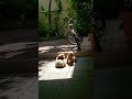 Under The Sun