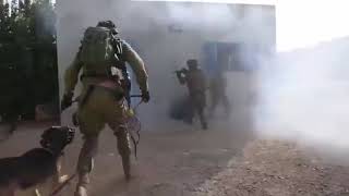 Agilite Idf-The Units Oketz