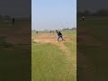 Hai trike ball 🥎 || 🥰🏏ball garden 🪴 ||🥰 Baprola New Delhi 🏏||🥰