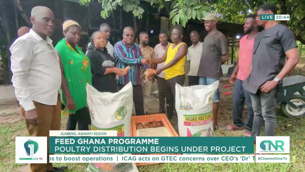 Feed Ghana Programme: Poultry Distribution Begins Under New Project