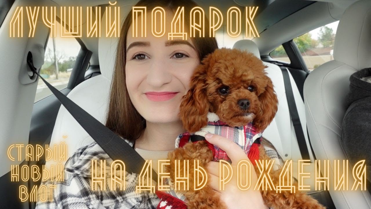 ЛУЧШИЙ ПОДАРОК НА ДЕНЬ РОЖДЕНИЯ. САНТА-КРУЗ. АВТОМОБИЛЬНАЯ НЕДЕЛЯ В ...