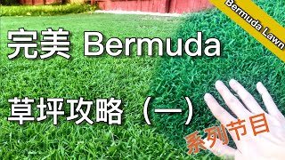 从零开始拥有完美 Bermuda 草坪（一） - 基础知识 - Basic knowledge about Bermuda Lawn | 尅尅&凯西的后花园