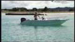 Shark Bites - Diver Meets Shark
