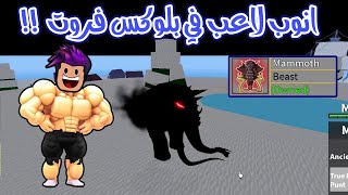 انوب لاعب بلوكس فروت بالعالم شتريت فاكهة الماموث الجديدة لعبة Blox Fruits 🔥!!