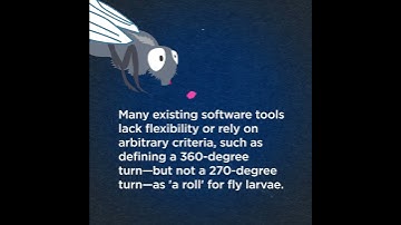 Using the power of artificial intelligence, new open-source tool simplifies animal behavior analysis