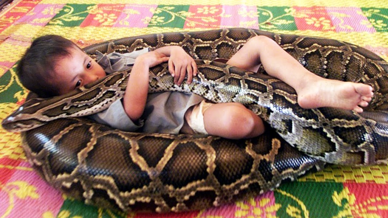 10 Unbelievable Pets Kids Actually Own