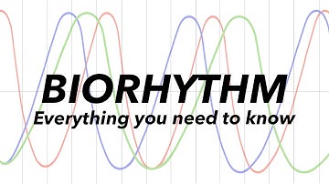How Biorhythm can HELP your health! | Guide to BIORHYTHM