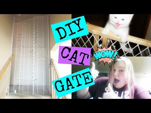 diy--cat-gate