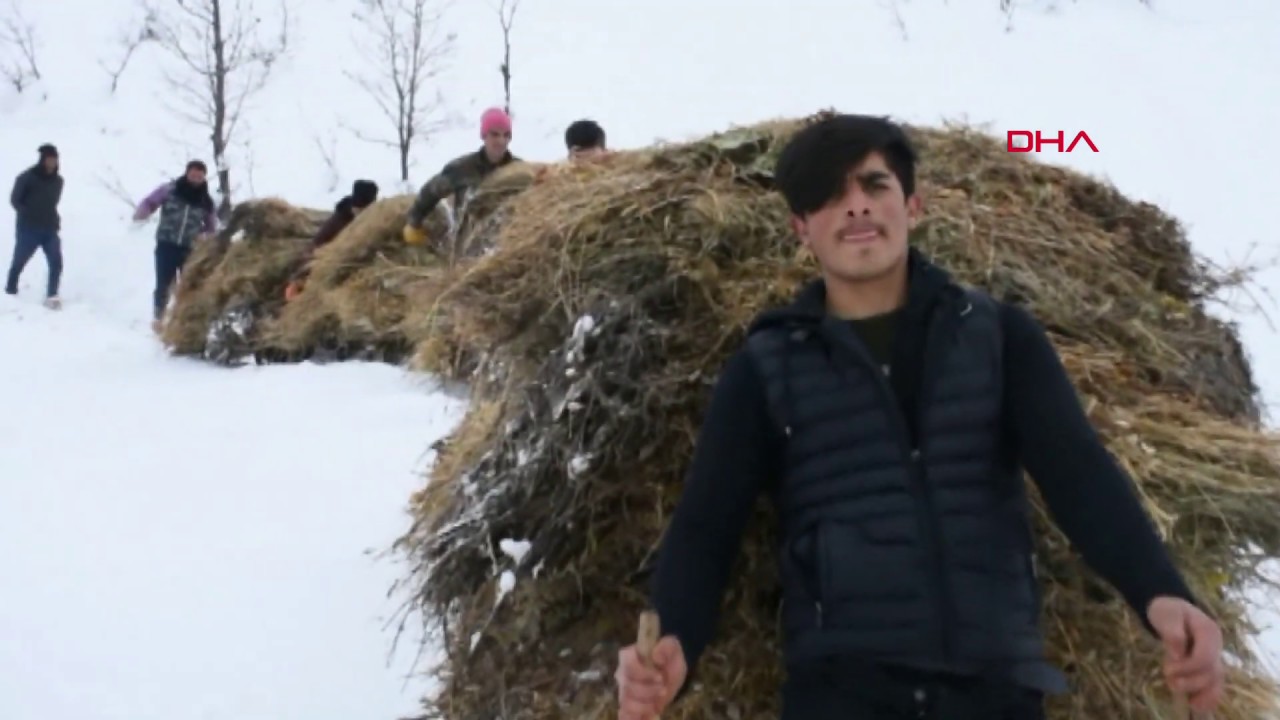 Dağlardan kızaklarla ot taşıyorlar