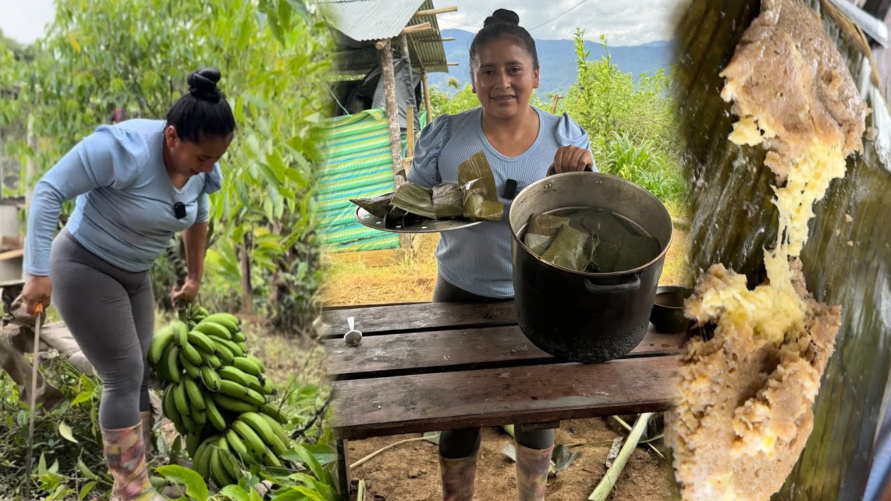 Tamales de guineo verde al estilo de Doña Viky 🫔 ¡una delicia envuelta en hojas