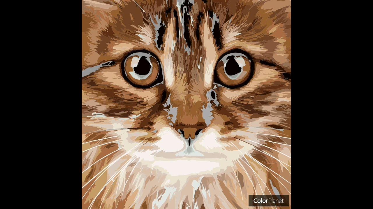 разукрашка котика ~ мой котик ~ color planet - YouTube