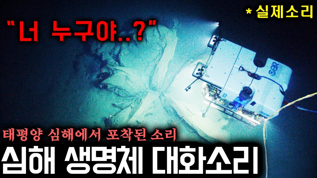 와 진짜 뭔데ㄷㄷ 심해 극비 청음망에 포착된 