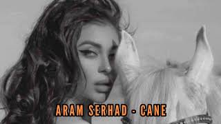 Aram Serhad CANE - Kurdish Trap Remix Resimi