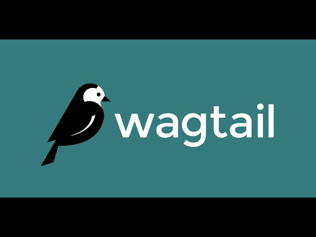 Thumbnail for video: Adding Custom Ruleset to wagtail sa11y plugin