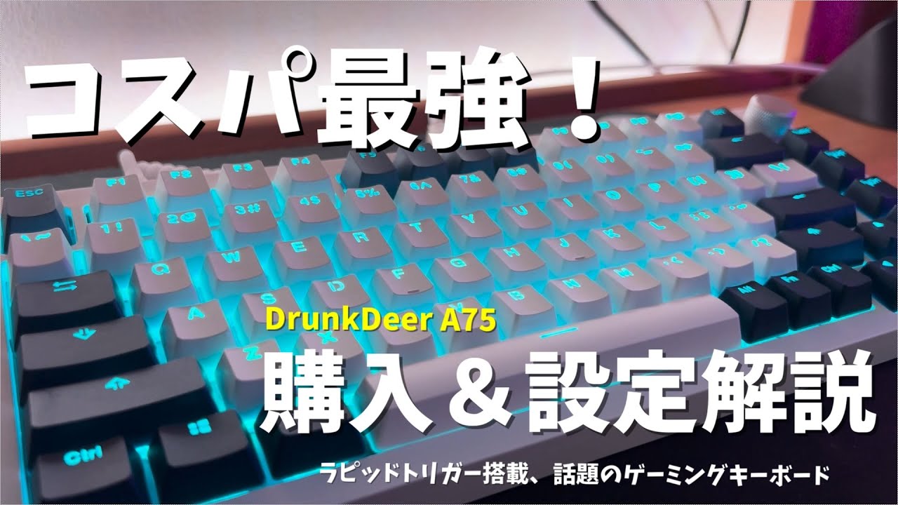 【DrunkDeer A75 & G65】話題のコスパ最強キーボードの最安購入から設定方法まで解説