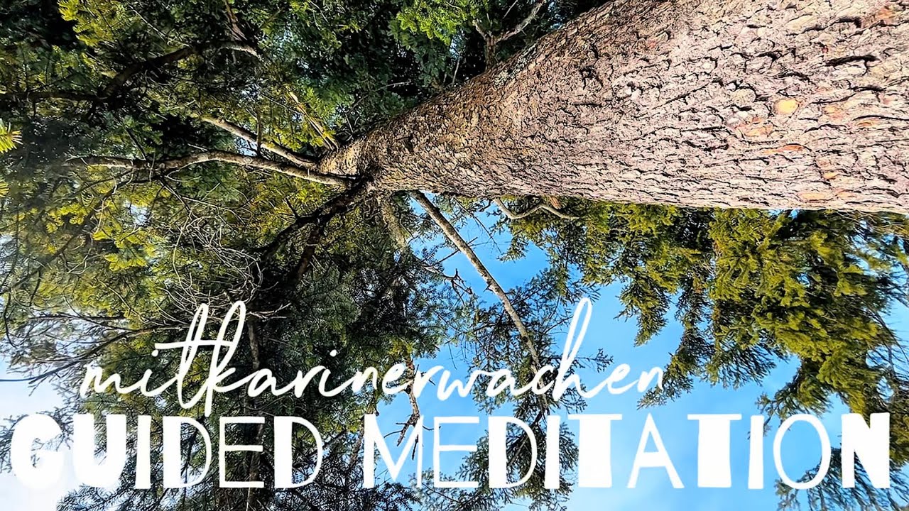 Verkörpertes Bewusstsein - Erforsche die Wahrheit in dir ⭐️