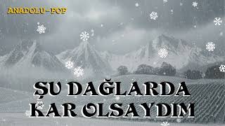 Şu Dağlarda Kar Olsaydım 1970Lerin Anadolu Popuna Yolculuk