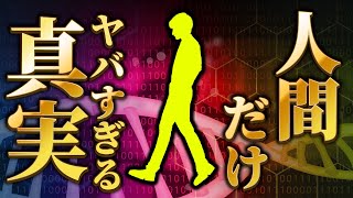 【ゆっくり解説】直立二足歩行になった人間の真実がヤバすぎた・・・【雑学】