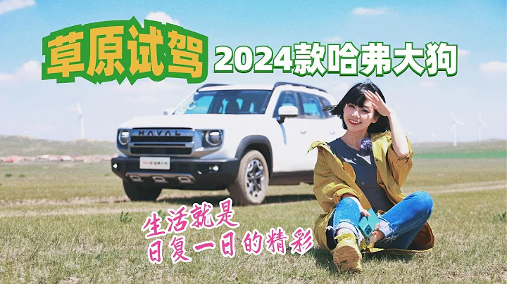涵公子駕道|試駕2024款哈弗大狗：擁有智能柔情的「硬派鐵漢 」 - 天天要聞