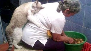 Super FUNNY ANIMAL VIDEOS - Watch and DIE FROM LAUGHING