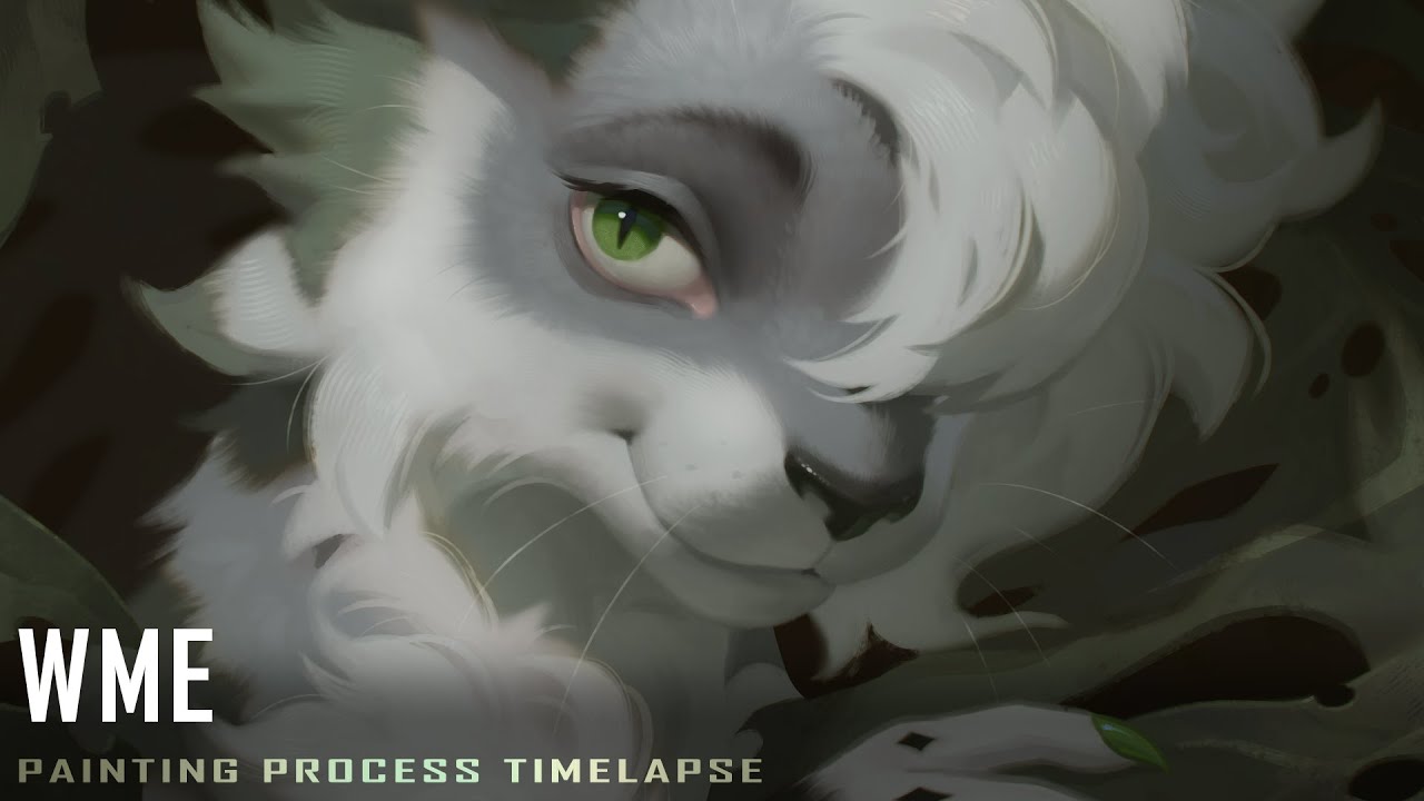 Wme Timelapse Clip Studio Paint YouTube