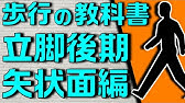 四辺形ソケット 坐骨収納型ソケット 大腿義足ソケットの種類と機能 No 116 理学療法士国家試験対策 シリーズ Youtube 四辺形ソケット 坐骨収納型ソケット 大腿義足ソケットの種類と機能 No 116 理学療法士国家試験対策 シリーズ Youtube