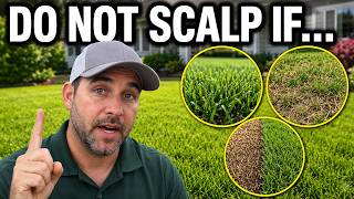 Should You Scalp Your Lawn Before Fall Overseeding? The Truth