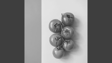 Scintillating Backdrops for Home Cooking