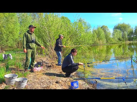 видео: ДЕД ПРОДАЛ МЕСТО и СЕКРЕТ... ЛОВЛЯ КАРАСЯ на ПЕЧЕНЬЕ и ХЛЕБ!!! САМАЯ ДУШЕВНАЯ РЫБАЛКА на КАРАСЯ