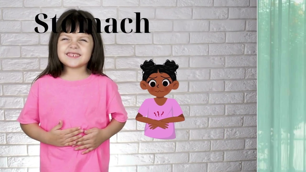 Learn English - Learn the Names and Functions of External Body Parts