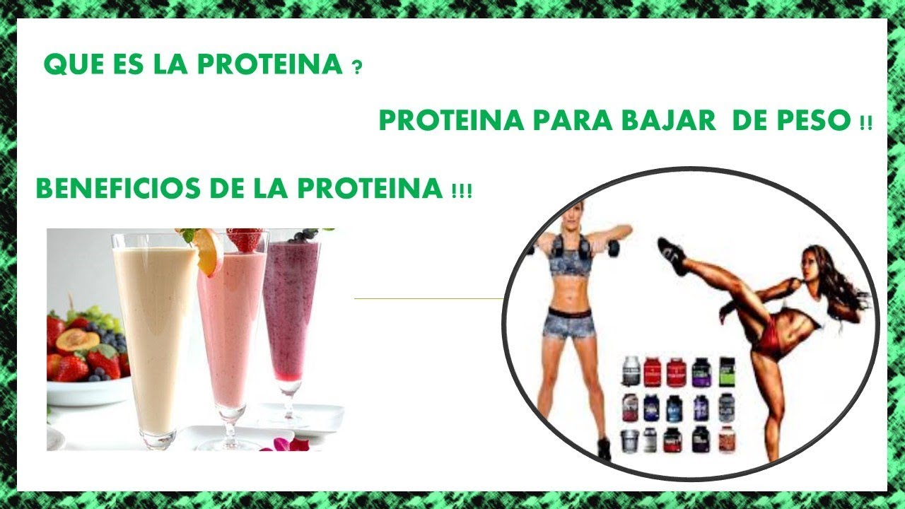 Proteina por kg de peso