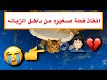 مساعدة قطة صغيرة عالقة في الزباله 🤦🏻‍♂️ اسرع عملية انقاذ لقطه 😍 / Mohamed Vlog