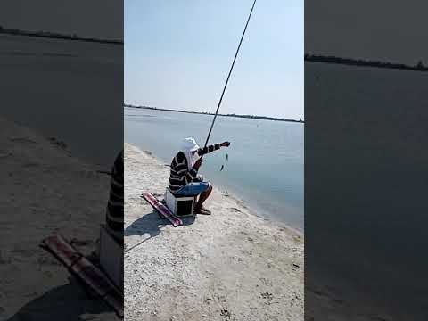 فيديو: تقليد على البحيرة البيضاء