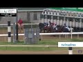 Lively Shively Stakes Race Replay Thumbnail