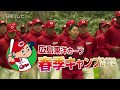 広島カープ春季キャンプ 2018(宮崎県日南市)