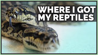 Where I Got All My Reptiles!