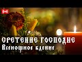 СРЕТЕНИЕ ГОСПОДНЕ. Трансляция богослужения. Всенощное бдение. 14 февраля (понедельник) в 18:00