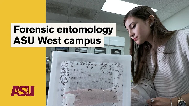 Forensic Entomology at ASU West campus: Arizona State University (ASU)