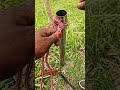 Amazing Rope Knot Trick for Camping &amp; Outdoor Survival! 🔥 #RopeKnot #KnotTutorial #CampingSkills