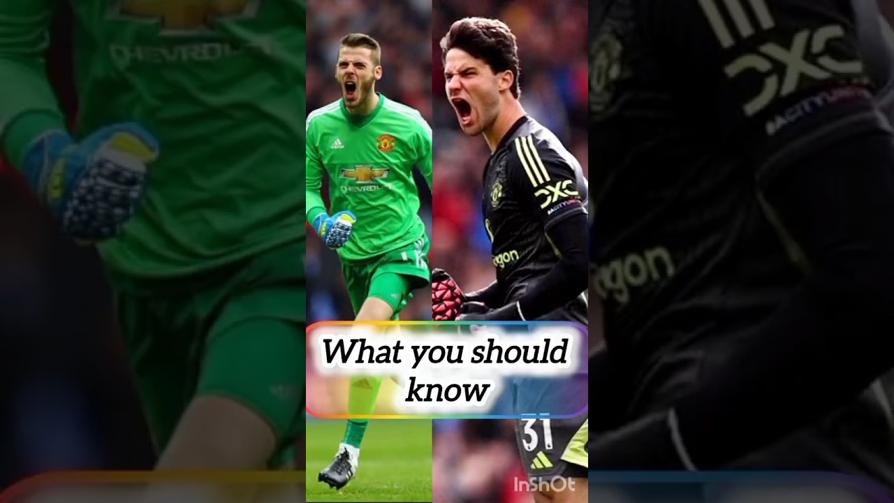 Lammens SILENCES Critics With IMPRESSIVE Debut Season