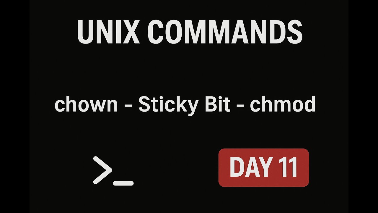 UNIX File Ownership & Permissions: chown, Sticky Bit & chmod Explained ...