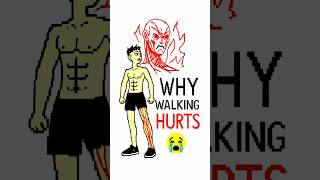 Why Muscle Pain Hits 48 Hours Later 😳