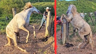 SALVANDO O CAVALO XUCRO DO VIZINHO 😱